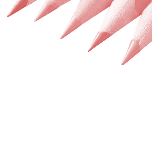 SAMEN PLANNEN vzw - Omdat er voor iedereen een plekje is op deze wereld!