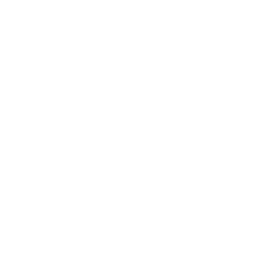 Shedidit: ondernemen in een diverse maatschappij